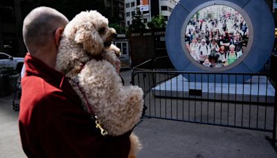 Sidewalk video ‘Portal’ linking New York, Dublin by livestream temporarily paused after lewd antics