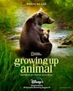 Growing Up Animal