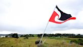 The shape of a Māori Parliament