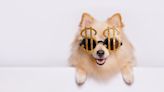 9 Famous Pets Who Make More Bank Than Most Humans