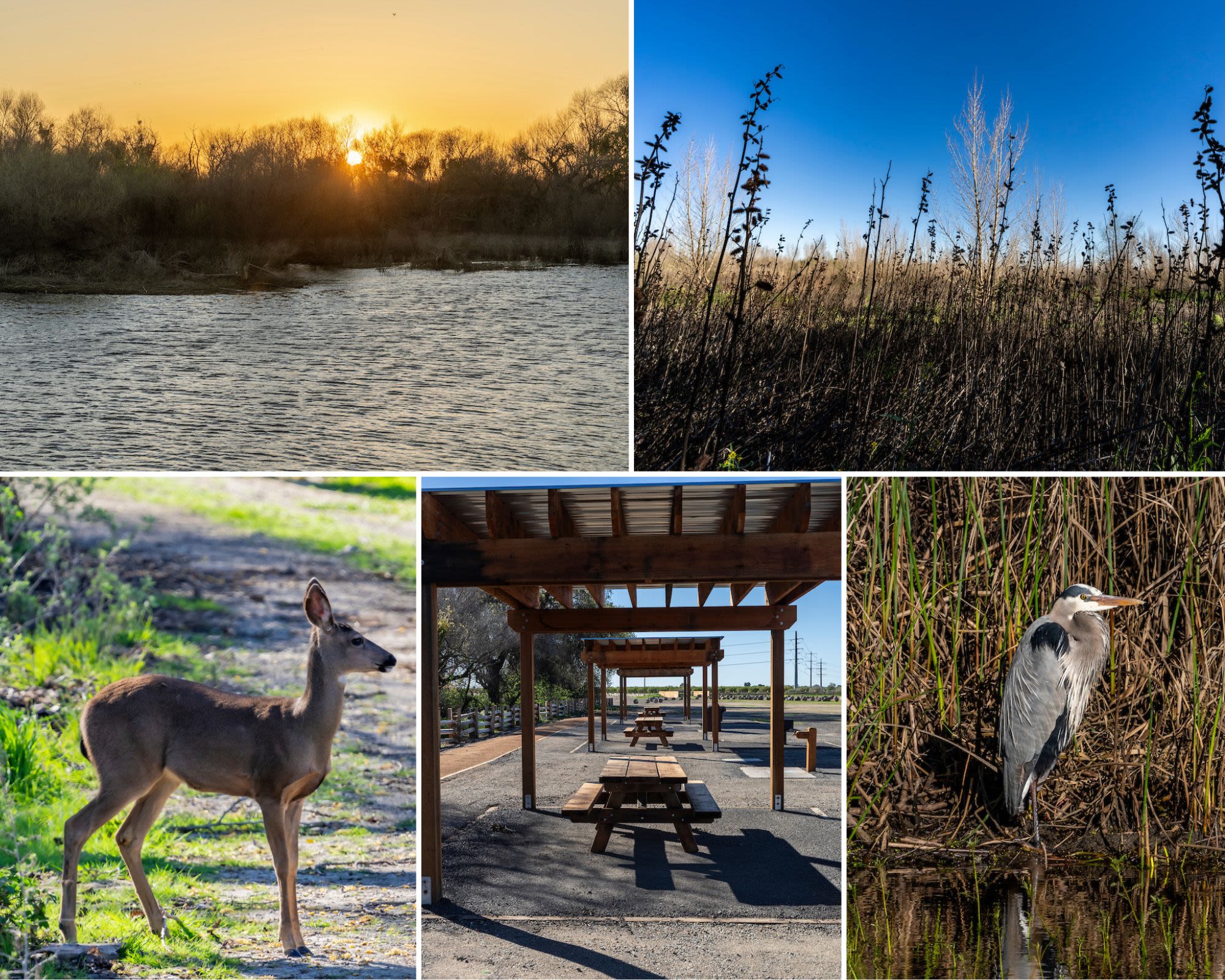 Governor Gavin Newsom Announces California’s Newest State Park, Dos Rios, to Open June 12 in the San Joaquin Valley