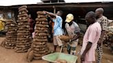 Sequencing West Africa's "yam belt" for food security