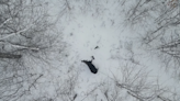 Moose shakes his head and his antlers go flying. Watch it happen from a birds-eye view