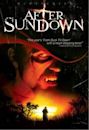 After Sundown (2006 film)