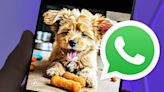 Ya puedes crear imágenes con Meta AI en WhatsApp en 1 minuto