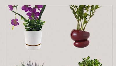 10 Self-Watering Planters That Are Easy to Use and Look Good