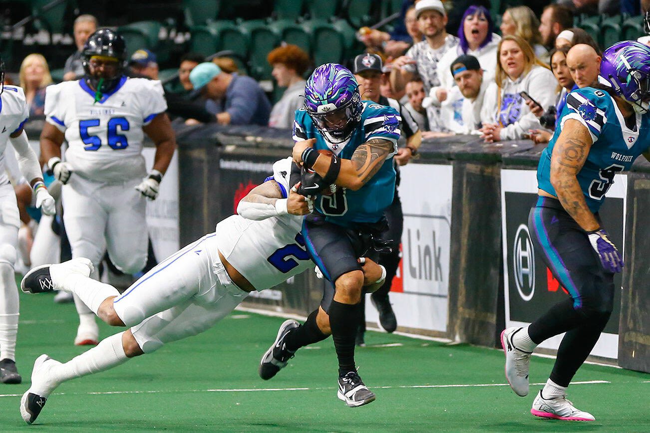 No howls yet: Arena football returns, but Wolfpack fall | HeraldNet.com