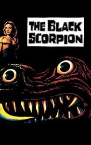 The Black Scorpion