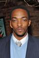 Anthony Mackie