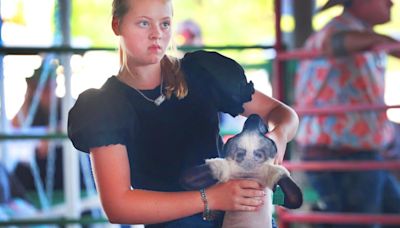 Coles County 4-H youths preparing for State Fair livestock competitions