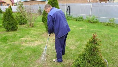 Revive wilted lawn with expert's four easy steps