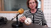 Cómo son las rosquillas de la Tía Javiera de Fuenlabrada, unas de las más apreciadas en la pradera de San Isidro