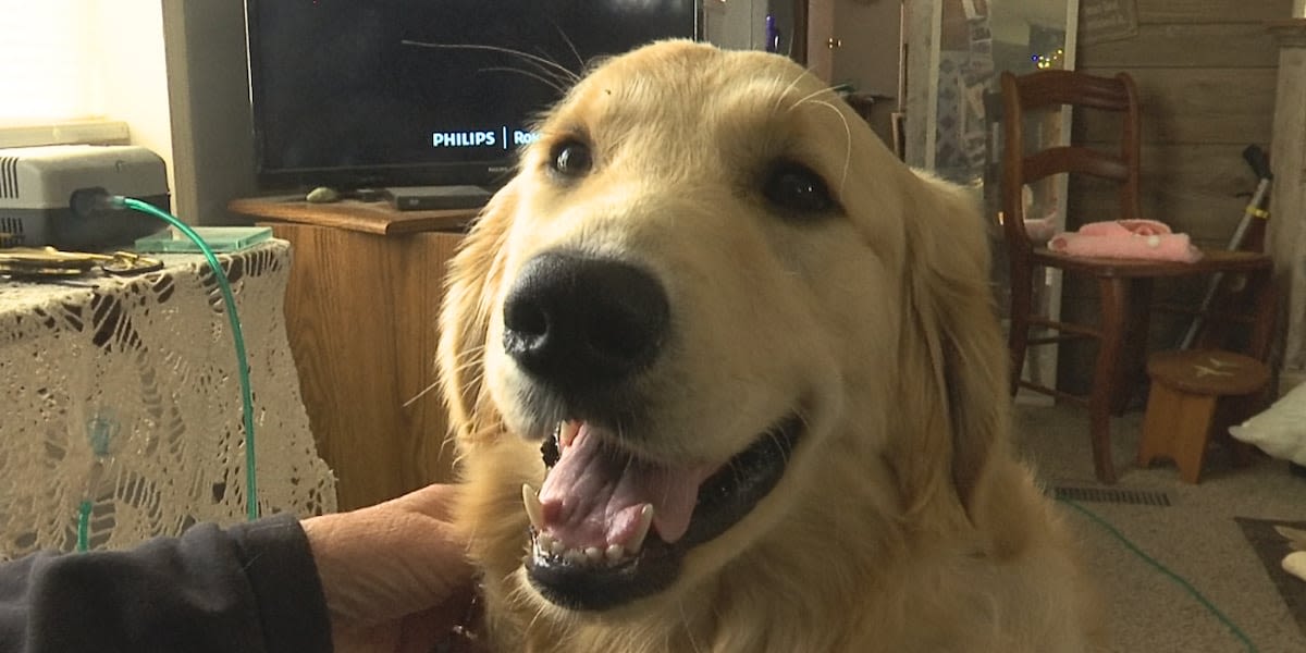 Woman thankful after her dog saves her life: ‘I wasn’t ready to go’