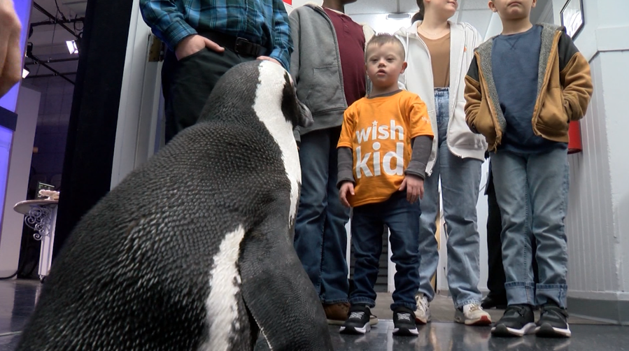 Make-A-Wish East TN sends 6-year-old to meet animals of his dreams