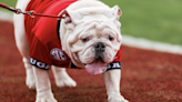 Former Georgia bulldog mascot Uga X dies with 2 national championships during his term