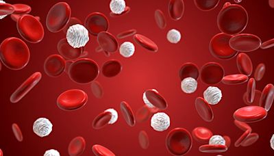 How are blood groups differentiated?