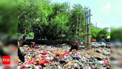Gurgaon Garbage Issue: CM's Deadline Missed by MCG | Gurgaon News - Times of India
