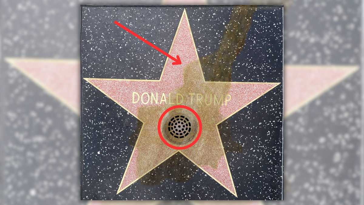 ...Check: Images Show Drain Added to Trump's Hollywood Walk of Fame Star Because People Supposedly Kept Peeing on It. Here...