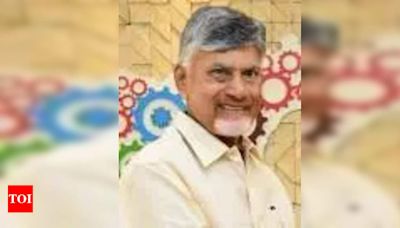 Naidu Challenges Jagan on Credibility of 2019 Election Results | Vijayawada News - Times of India