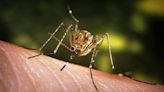 Which ZIP code had the first case of West Nile virus in mosquitos in Travis County?