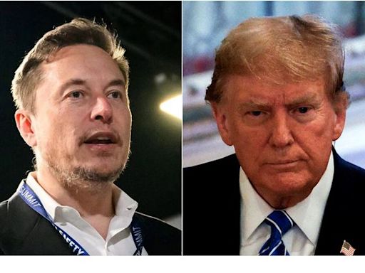 Elon Musk Donates 'Sizeable' Amount To Trump Campaign Ahead Of US Polls