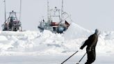 Seal hunt advocate claims vindication, as Senate committee urges help for industry