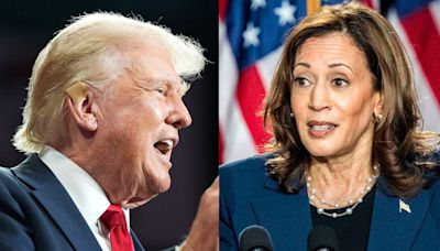 Republicans are 'defending the indefensible': Harris campaign uses Trump's word against him in ad