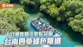 台南推台江內海遊程 乘管筏遊「四草綠色隧道」享受綠意、蟲鳴