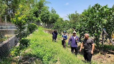 高雄擴大電圍網防猴害 今年將新增9處