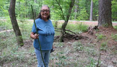 Louisiana tribes restore river cane to preserve their culture and the environment