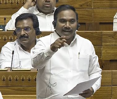 DMK MP A Raja Says Prime Minister Doesn't Have Spine To Answer Opposition's Questions