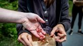 Where to find the best mushrooms in the Appalachians, plus a recipe from The Market Place