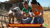 Jiaping visita un santuario de animales rescatados y se convierte en granjera por un día