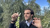 Conheça Miguel Zuccardi, o produtor de azeite mais premiado da Argentina