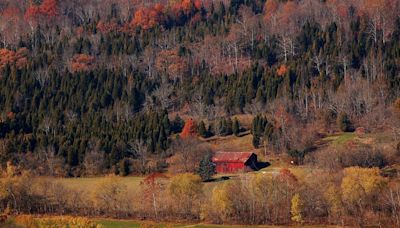 Appalachian critics of Ohio US Sen. JD Vance's 'Hillbilly Elegy' responded with their own book