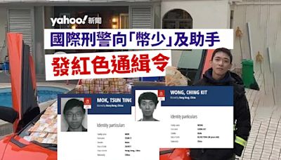 國際刑警向「幣少」及其助手發紅色通緝令｜Yahoo