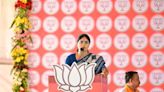 'My Party Stands For..': BJP Ally Anupriya Patel Demands Caste Census