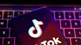 Gen Z are turning to TikTok for career advice, survey finds, as creators share workplace tips like 'corporate flirting' and being 'delulu'