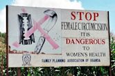 Female genital mutilation