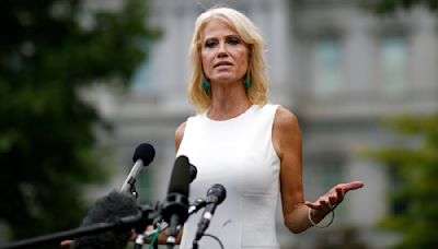 Kellyanne Conway backs early voting: ‘You adapt or you die politically’