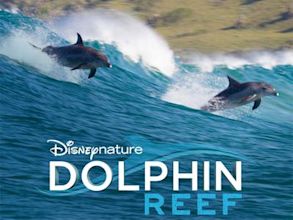 Dolphin Reef (film)