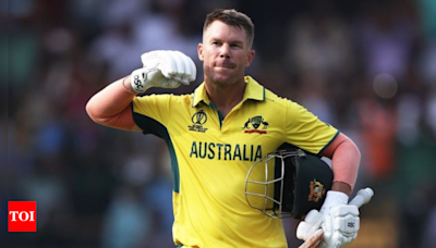 Australian cricketer David Warner to appear in cameo in Allu Arjun's 'Pushpa 2' | Telugu Movie News - Times of India