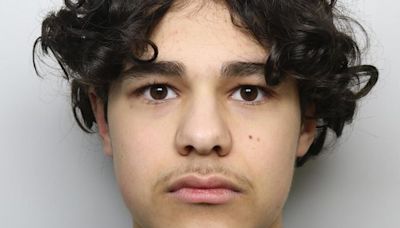 Bardia Shojaeifard: Boy, 15, jailed for murder of Alfie Lewis in knife attack outside school in Leeds