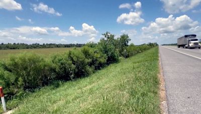 Trucker describes finding ‘miracle baby’ by the side of a highway in Louisiana