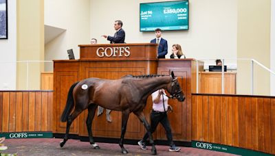 Top-level plans for July Flower as De Bromhead goes to £350,000 for Grade 1 winner at the Goffs UK Summer Sale