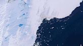 Con IA logran mapear una mayor superficie del hielo antártico susceptible a colapsos | Diario Financiero