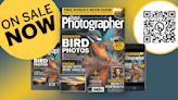 Capture stunning bird photos with Digital Photographer Magazine Issue 282, out now!