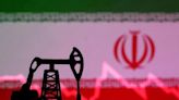 Iran's capacity to move oil reliant on Malaysian providers, US official says