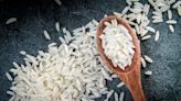 來自世界第五大稻米出口國「美國米」高品質、多元米種 日料職人都愛用