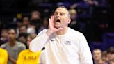 LSU basketball a winner from the transfer portal